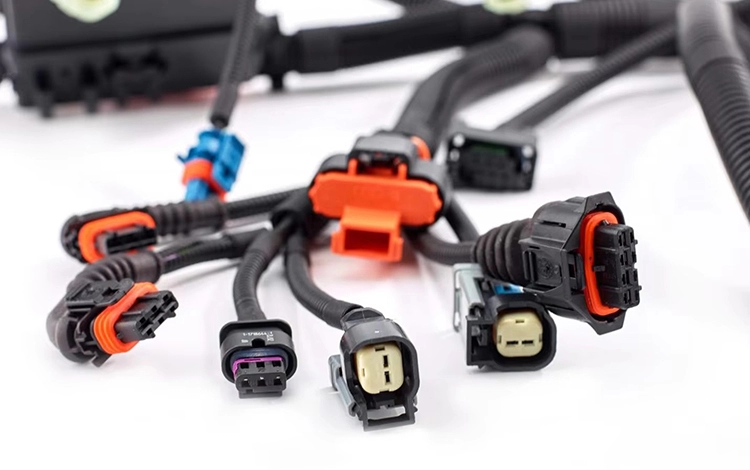 তারের জোতা সীল